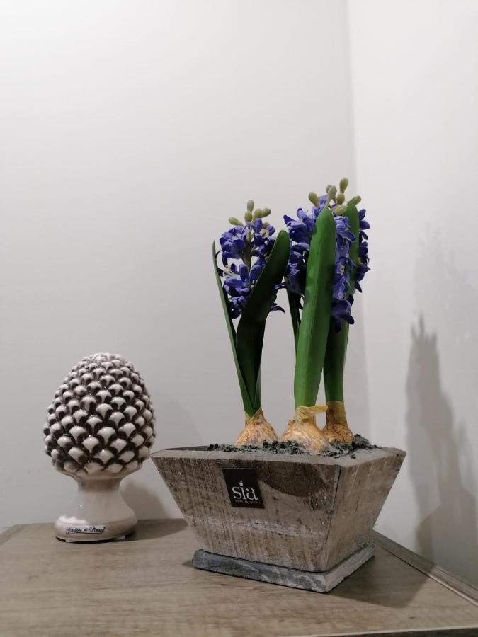 Le Due Pigne - Palermo Appartement Buitenkant foto